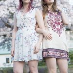 Sunsets and Cherry Blossoms 5 Sunsets and Cherry Blossoms, TimEdits 2