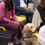 CNIB Guide Dog Graduation - Too Cute for Words! 8 CNIB Guide Dog Graduation - Too Cute for Words!, TRW01903