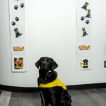 CNIB Guide Dog Graduation - Too Cute for Words! 5 CNIB Guide Dog Graduation - Too Cute for Words!, TRW01980