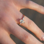 A Surprise Proposal at Beacon Hill Park, TRW00963