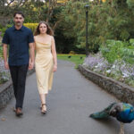 A Surprise Proposal at Beacon Hill Park, TRW01168 1